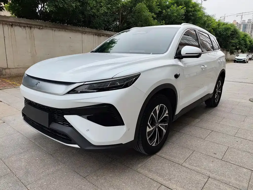 BYD Pro New Energy — фото 1