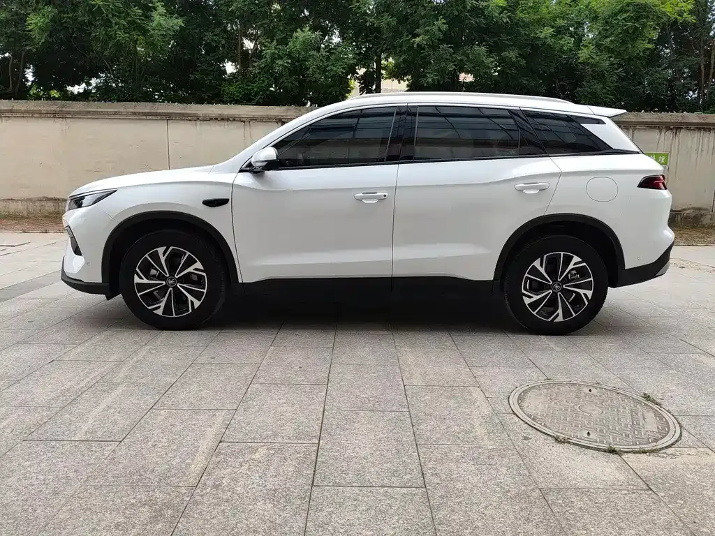 BYD Pro New Energy — фото 9