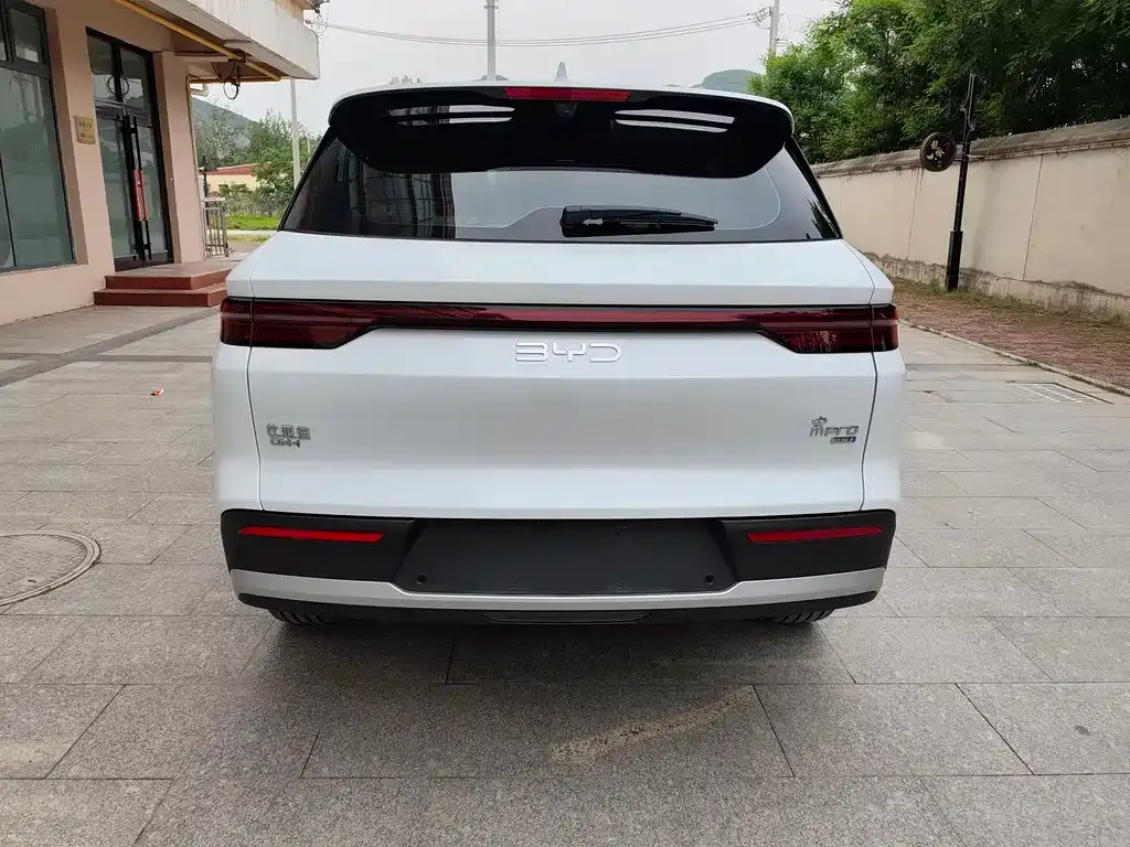 BYD Pro New Energy — фото 10