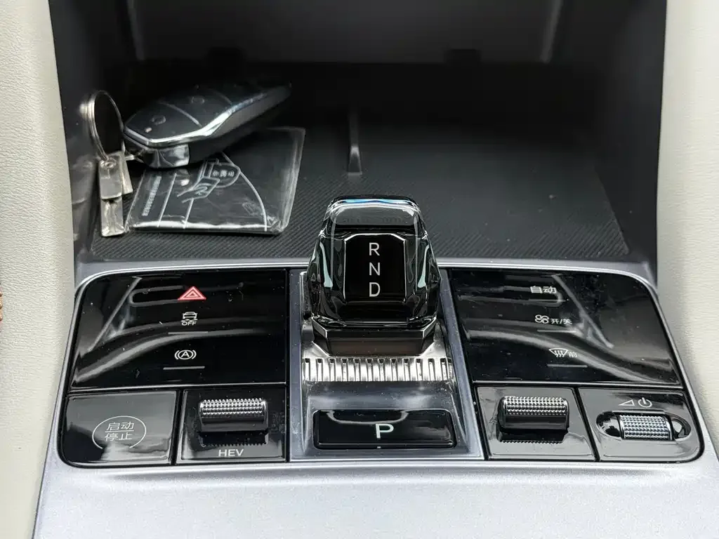 BYD PLUS New Energy 2023 из CN, фото 4