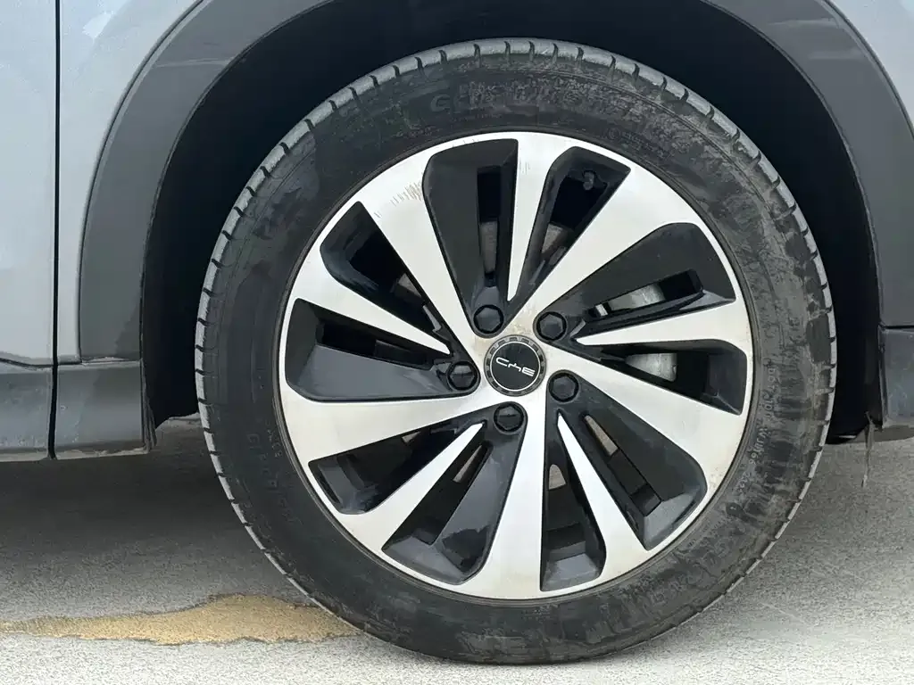 BYD PLUS New Energy 2023 из CN, фото 8