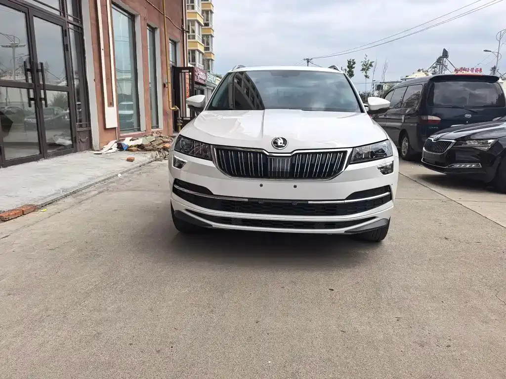 Skoda Karoq — фото 6
