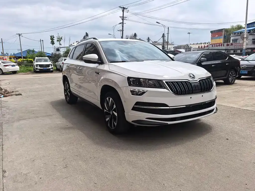 Skoda Karoq — фото 10