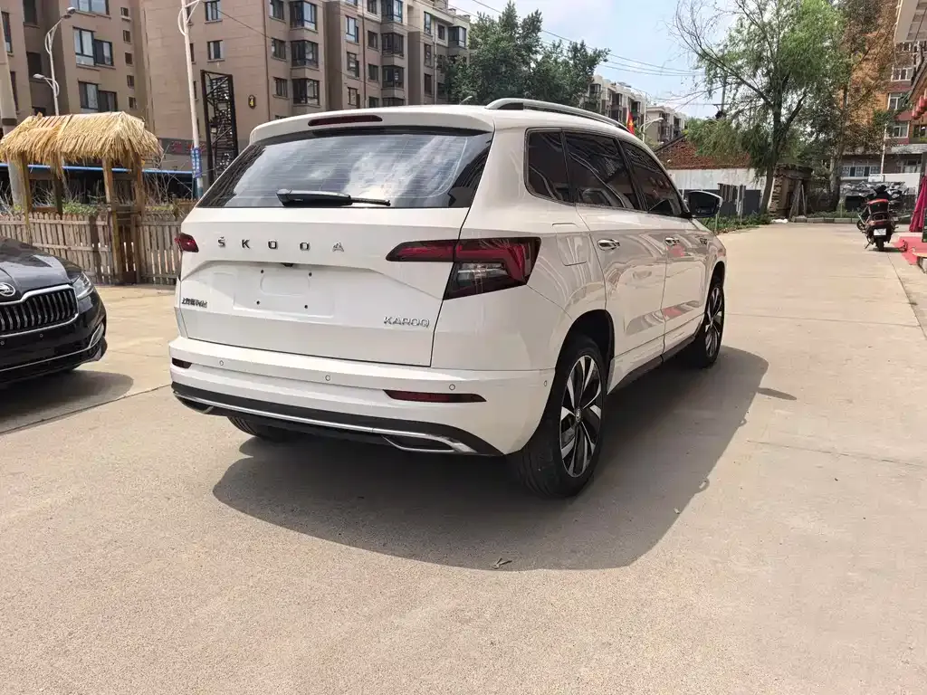 Skoda Karoq — фото 8