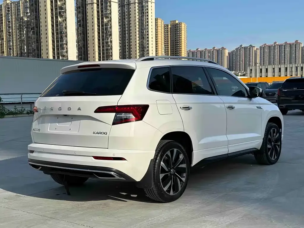 Skoda Karoq — фото 6