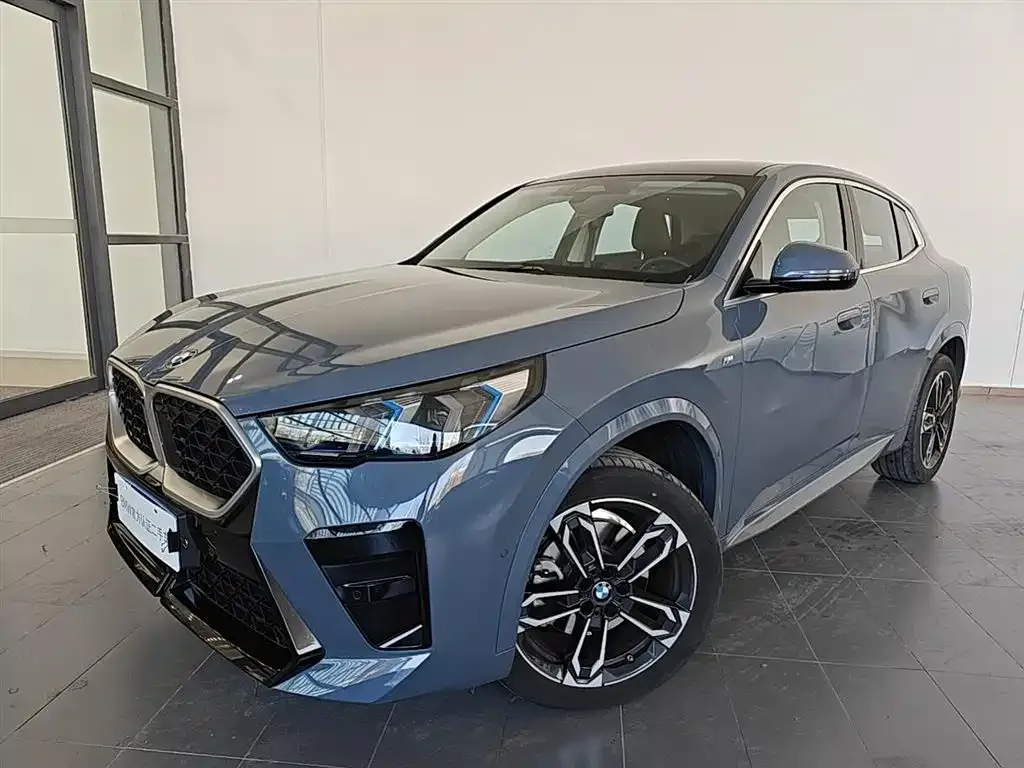 BMW X2 (Import) — фото 1