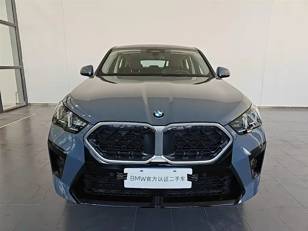BMW X2 (Import) — фото 8