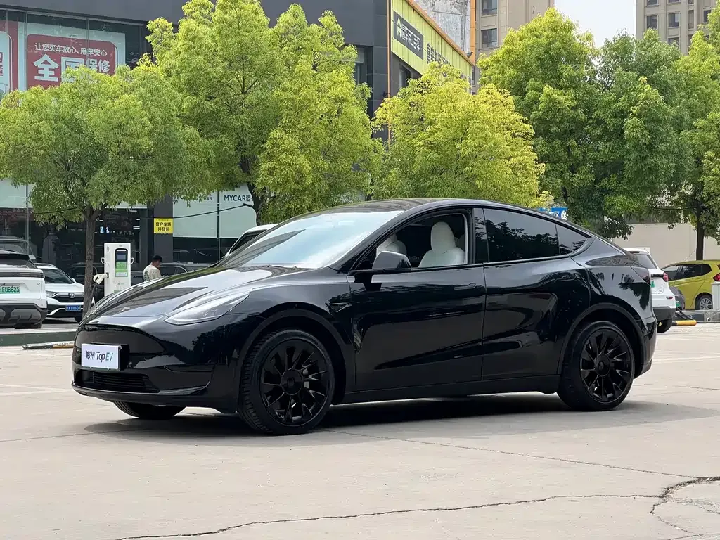 Tesla Model Y — фото 1