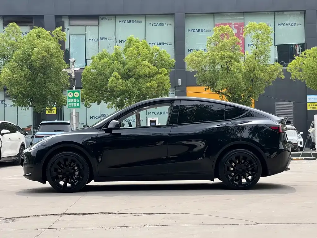 Tesla Model Y — фото 5