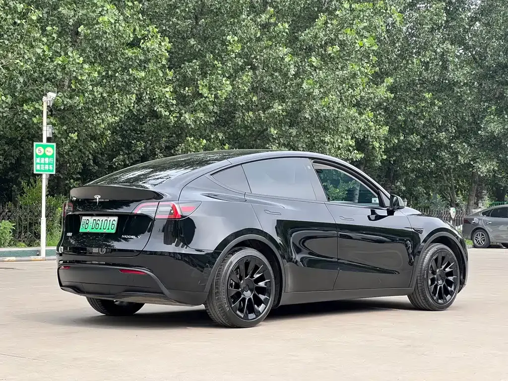 Tesla Model Y — фото 3