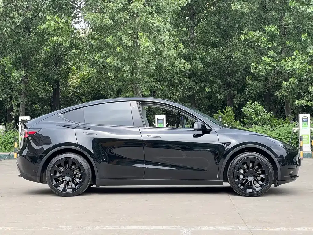 Tesla Model Y — фото 10