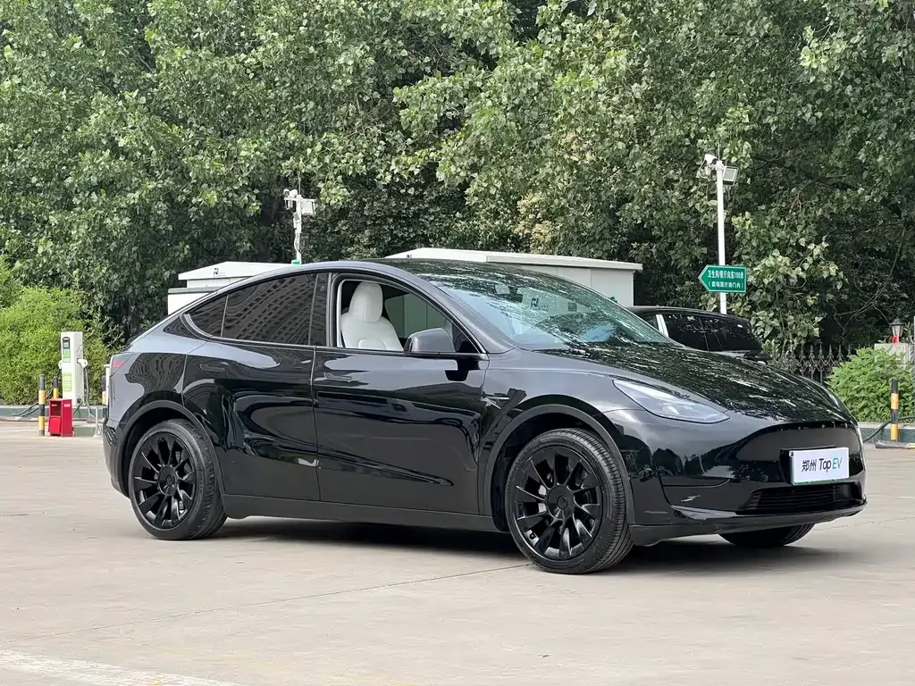 Tesla Model Y — фото 8