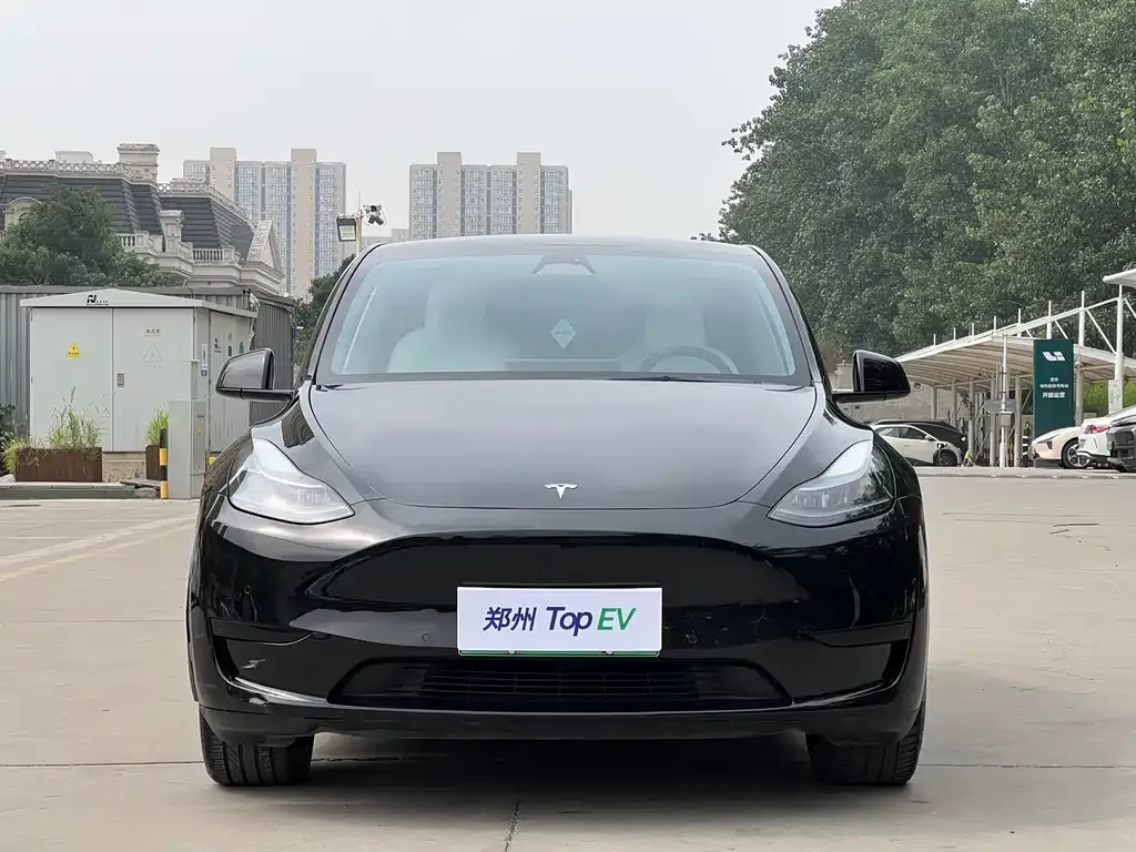 Tesla Model Y — фото 2