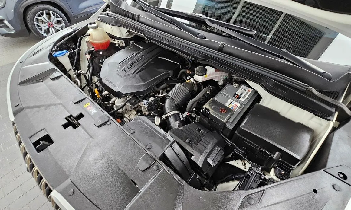Kia Carnival — фото 10