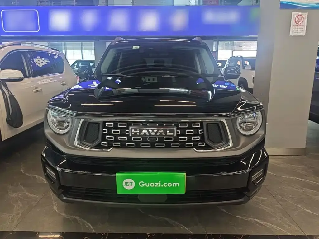 Haval H7 (Big Dog Plus) 2024 из CN, фото 5