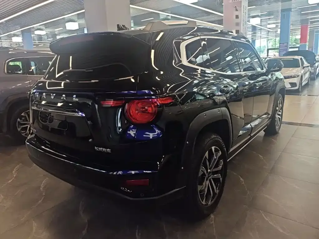Haval H7 (Big Dog Plus) 2024 из CN, фото 4