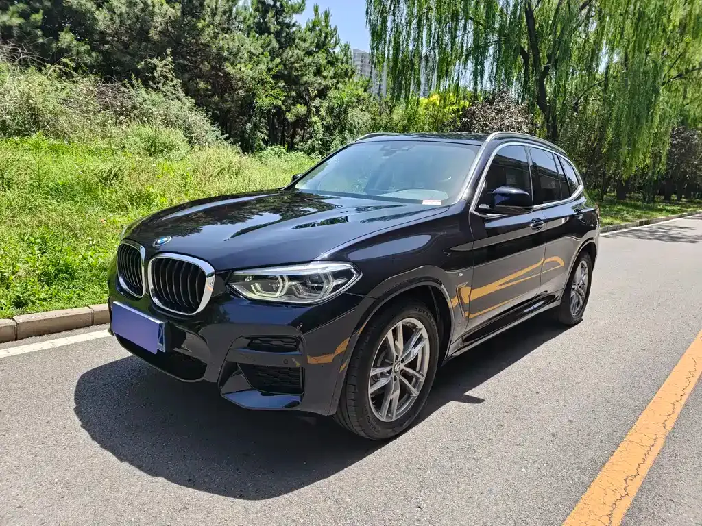 BMW X3 — фото 1