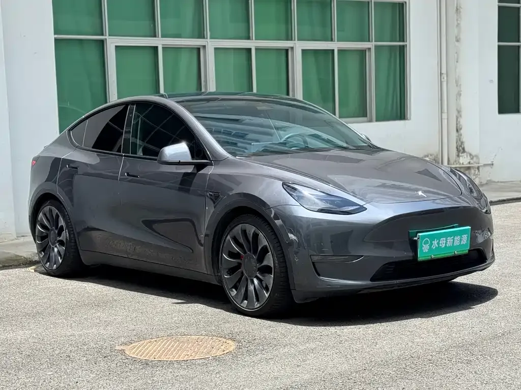Tesla Model Y — фото 10
