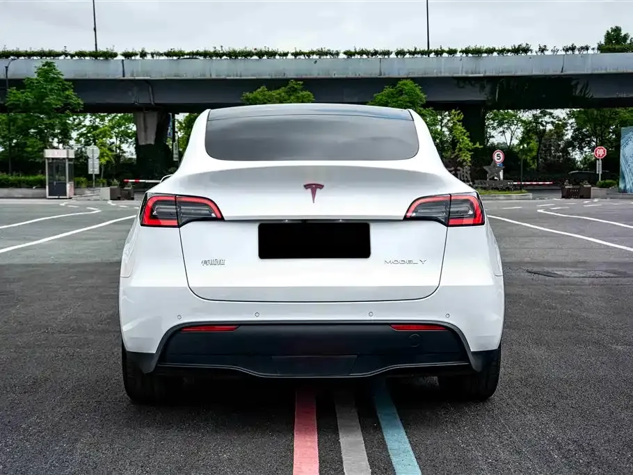 Tesla Model Y — фото 3