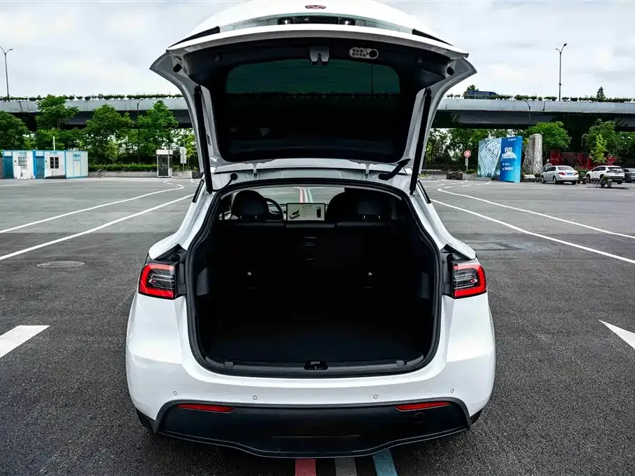 Tesla Model Y — фото 2