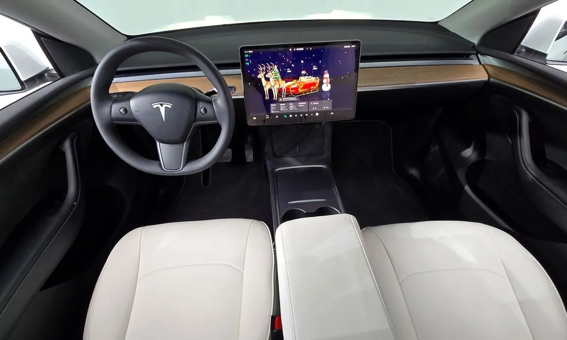Tesla Model Y — фото 6