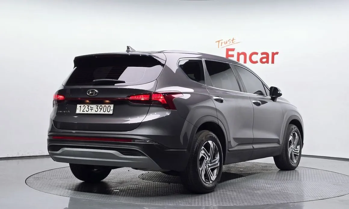 Hyundai Santafe 2021 из KR, фото 10