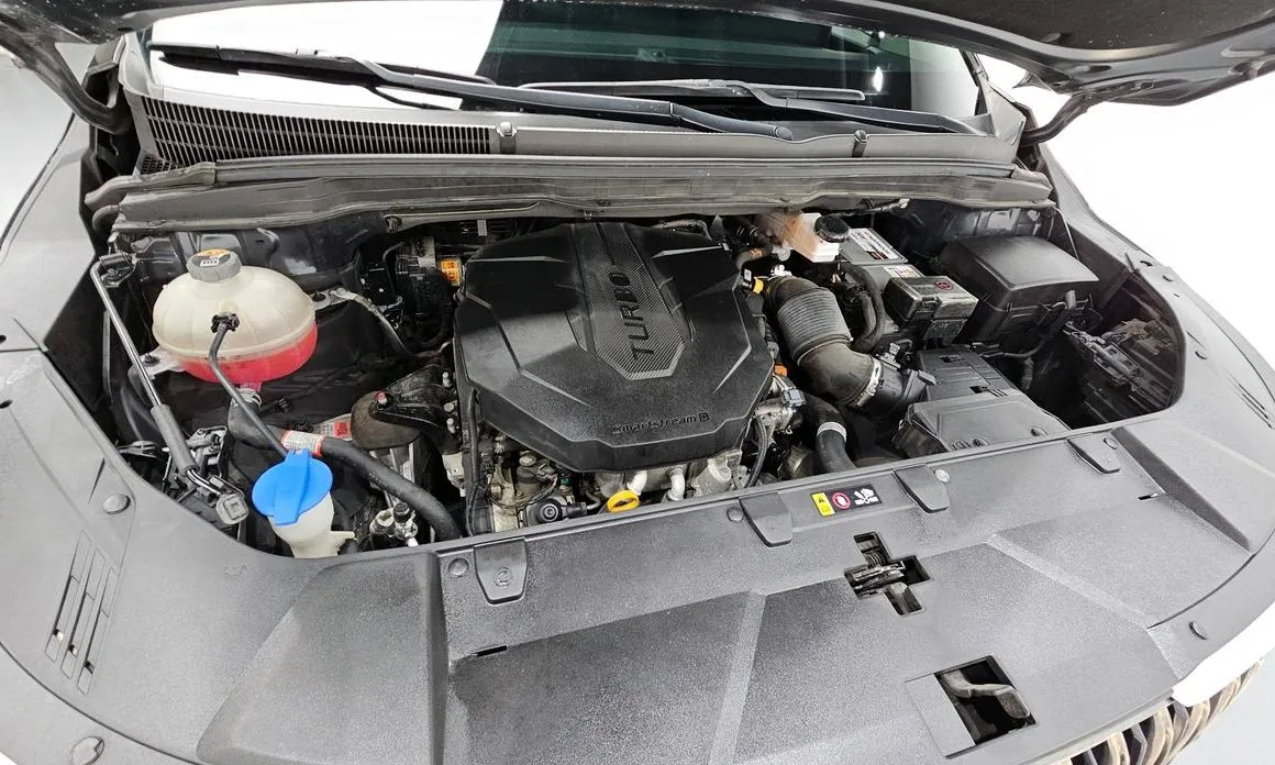 Kia Carnival — фото 10
