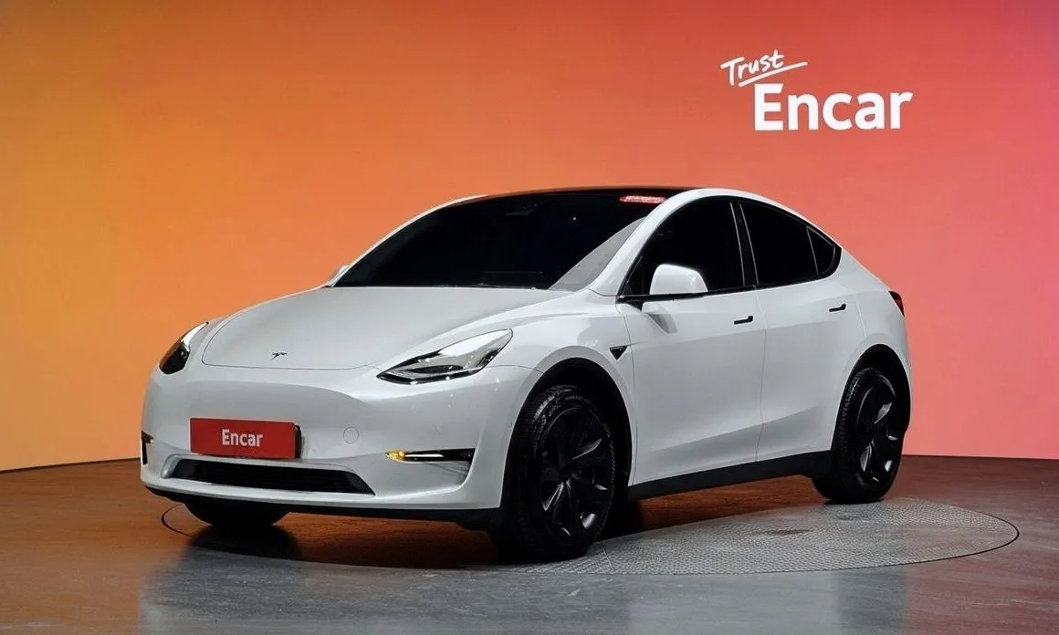 Tesla Model Y — фото 1