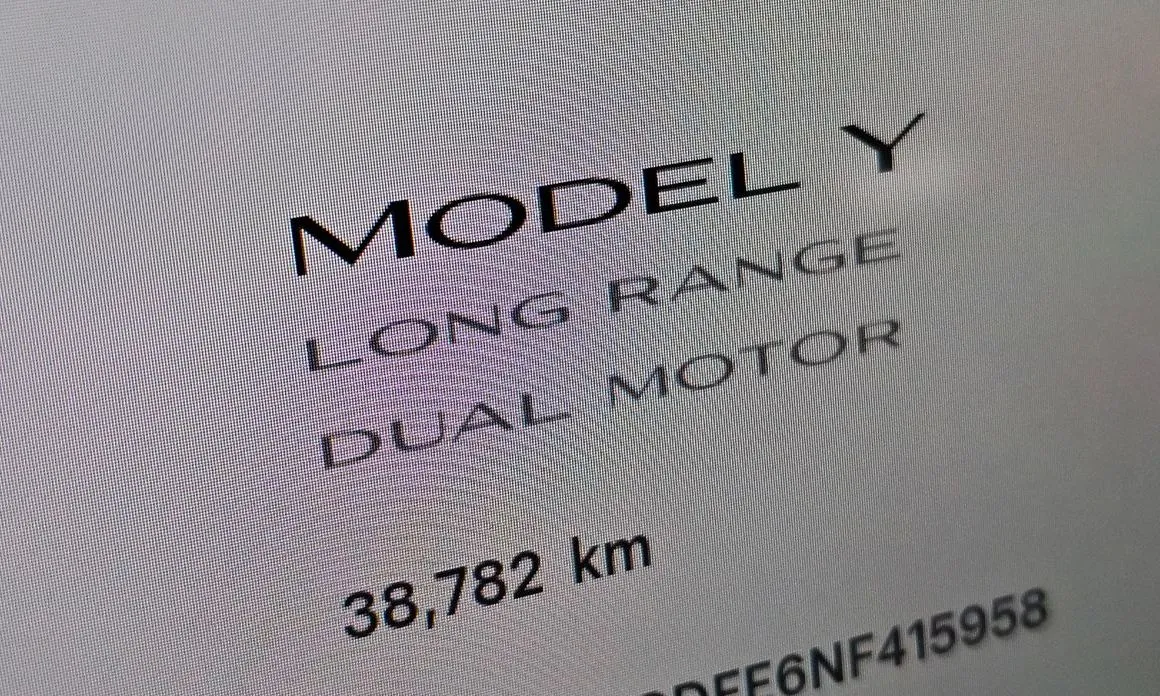 Tesla Model Y — фото 7