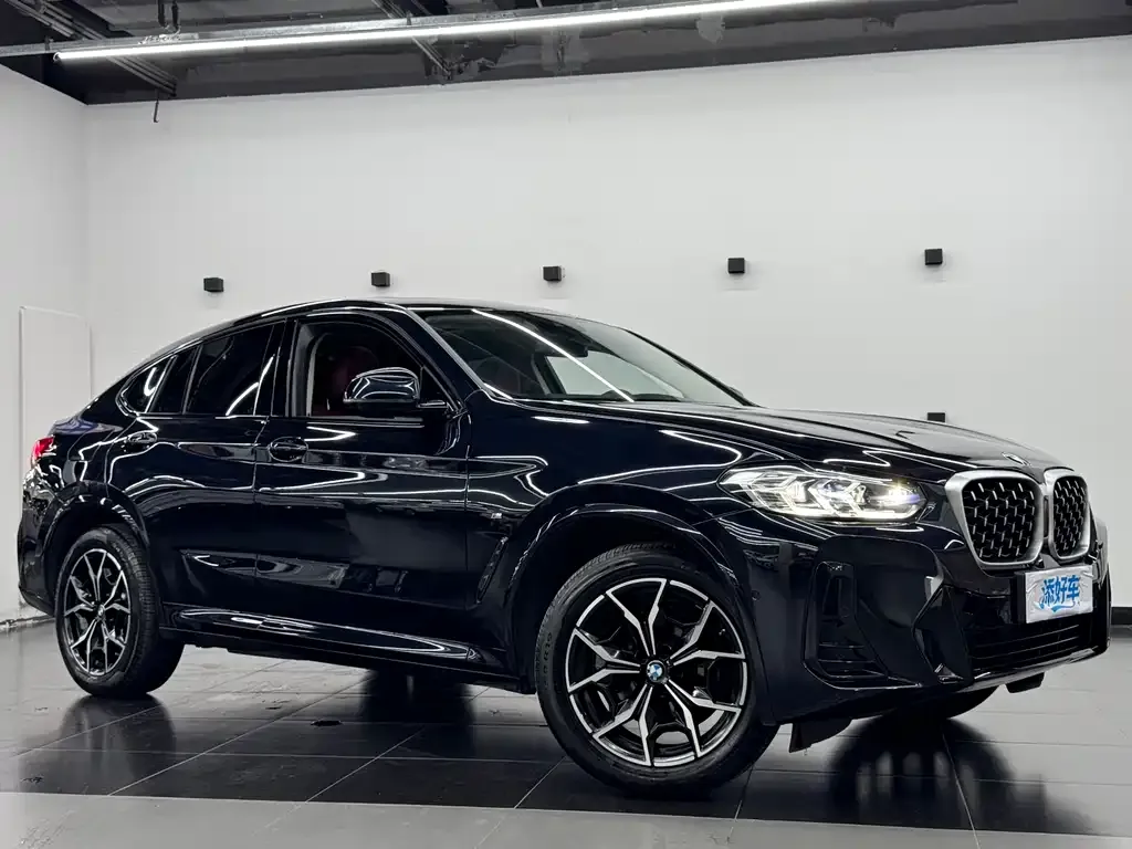 BMW X4 — фото 8