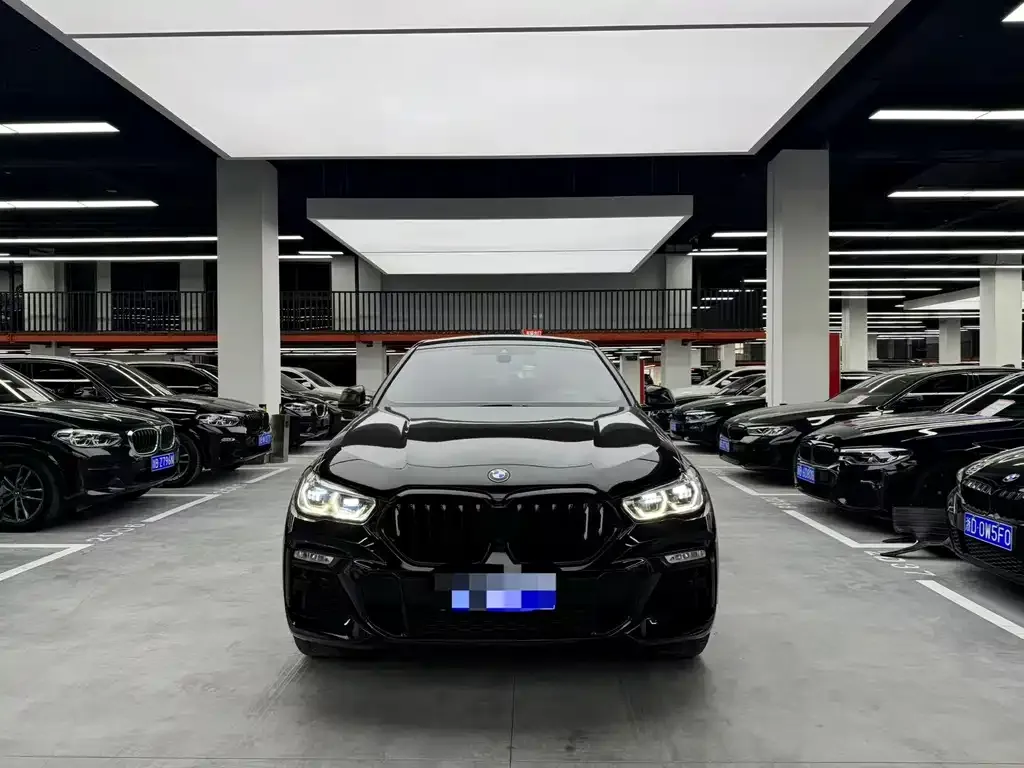 BMW X6 2021 из CN, фото 2