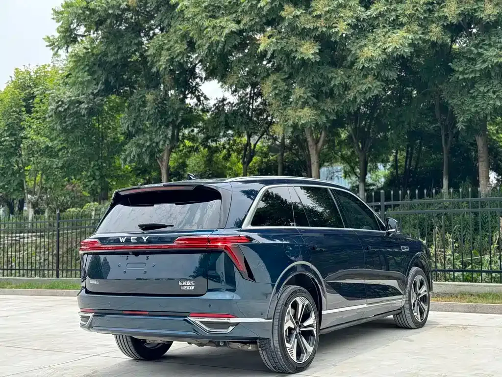Wey Lanshan 2023 из CN, фото 6