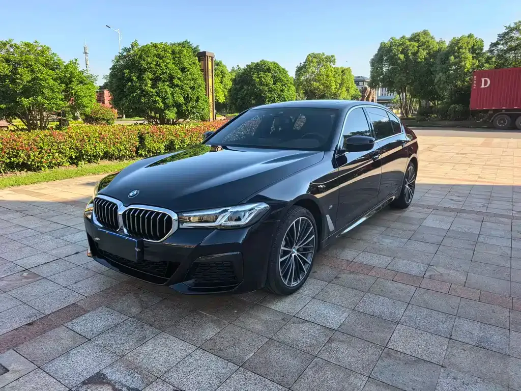 BMW 5 Series 2021 из CN, фото 1