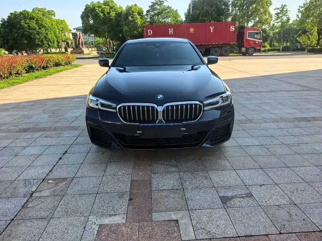 BMW 5 Series 2021 из CN, фото 6