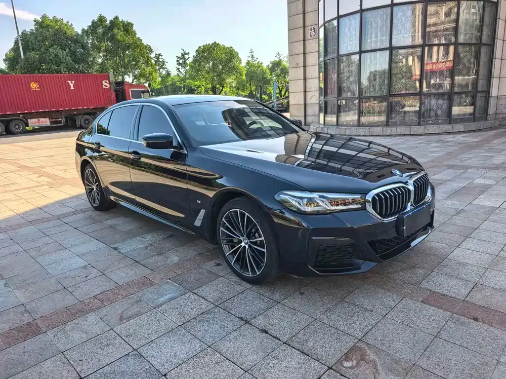 BMW 5 Series 2021 из CN, фото 3