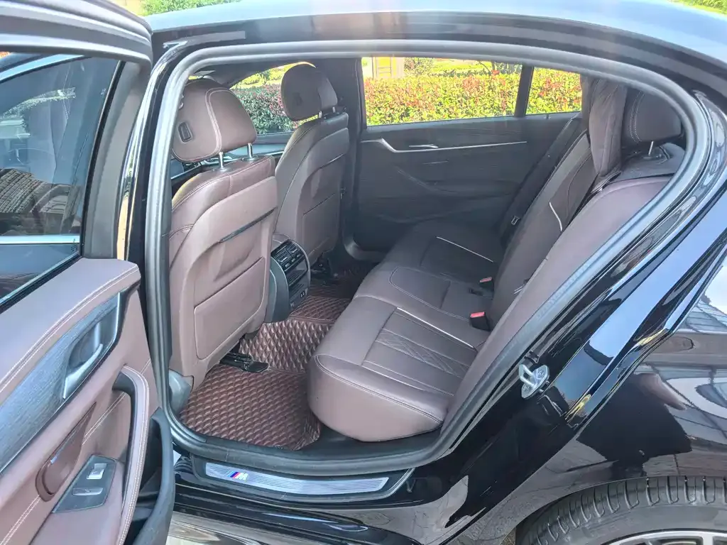 BMW 5 Series 2021 из CN, фото 5