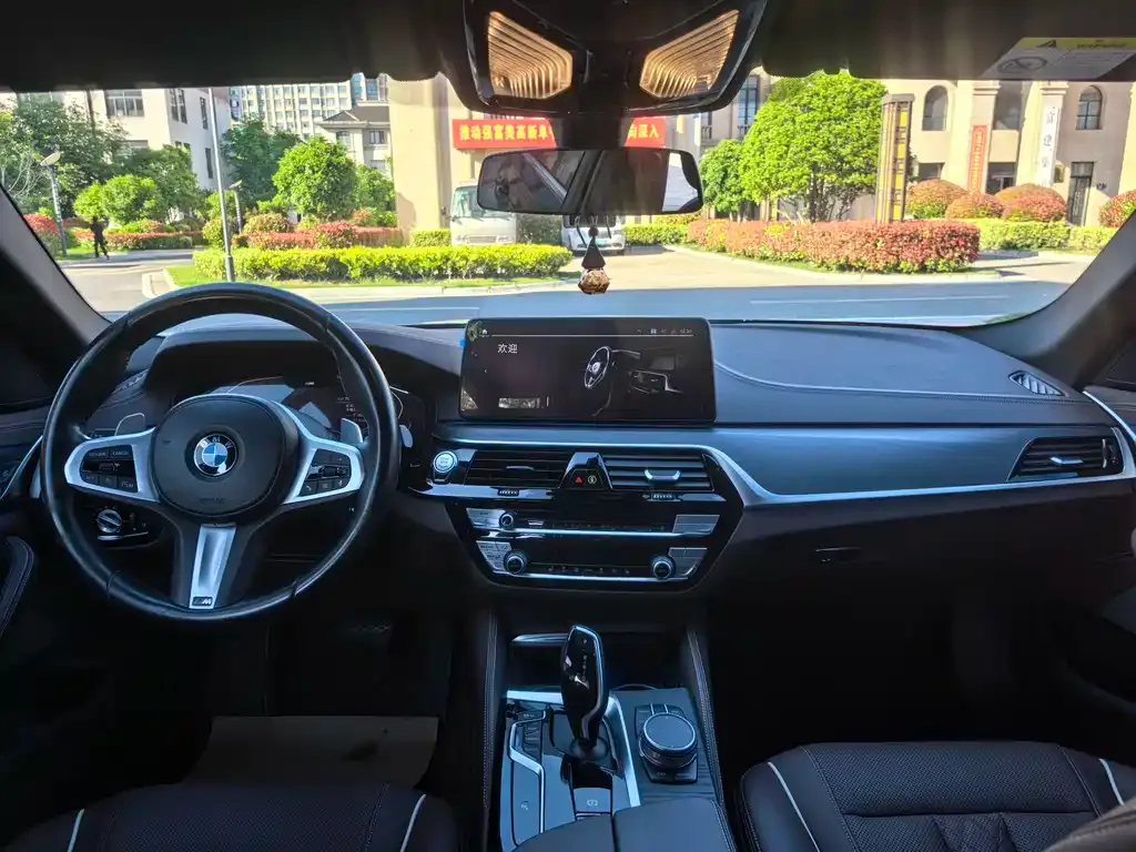 BMW 5 Series 2021 из CN, фото 4