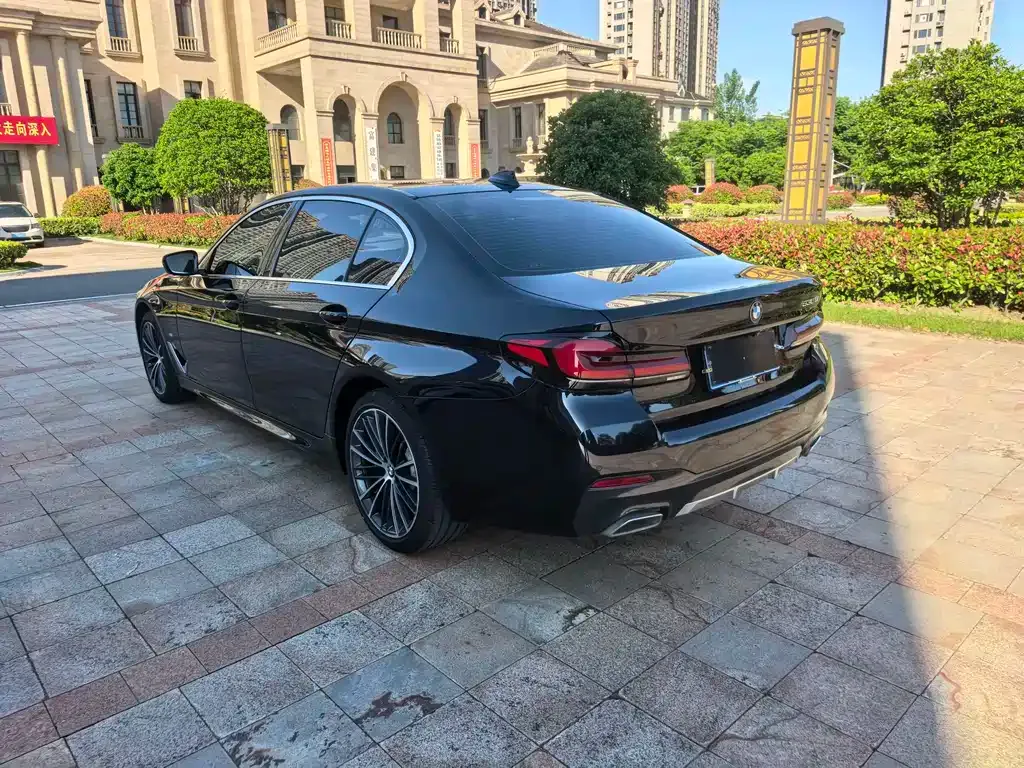 BMW 5 Series 2021 из CN, фото 8
