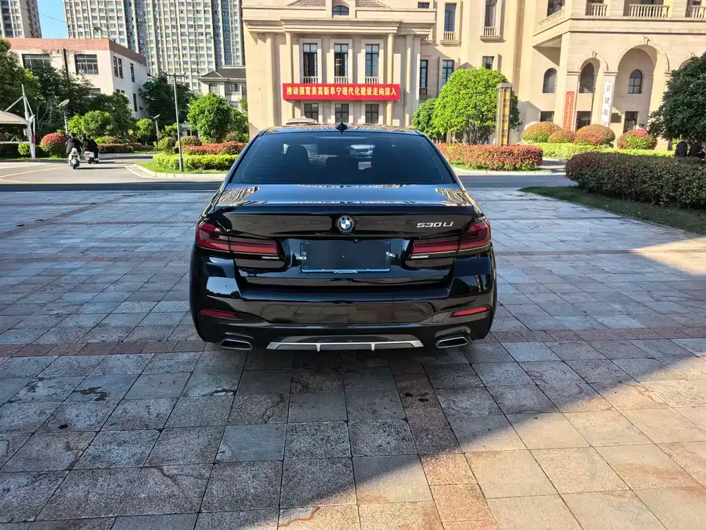 BMW 5 Series 2021 из CN, фото 9