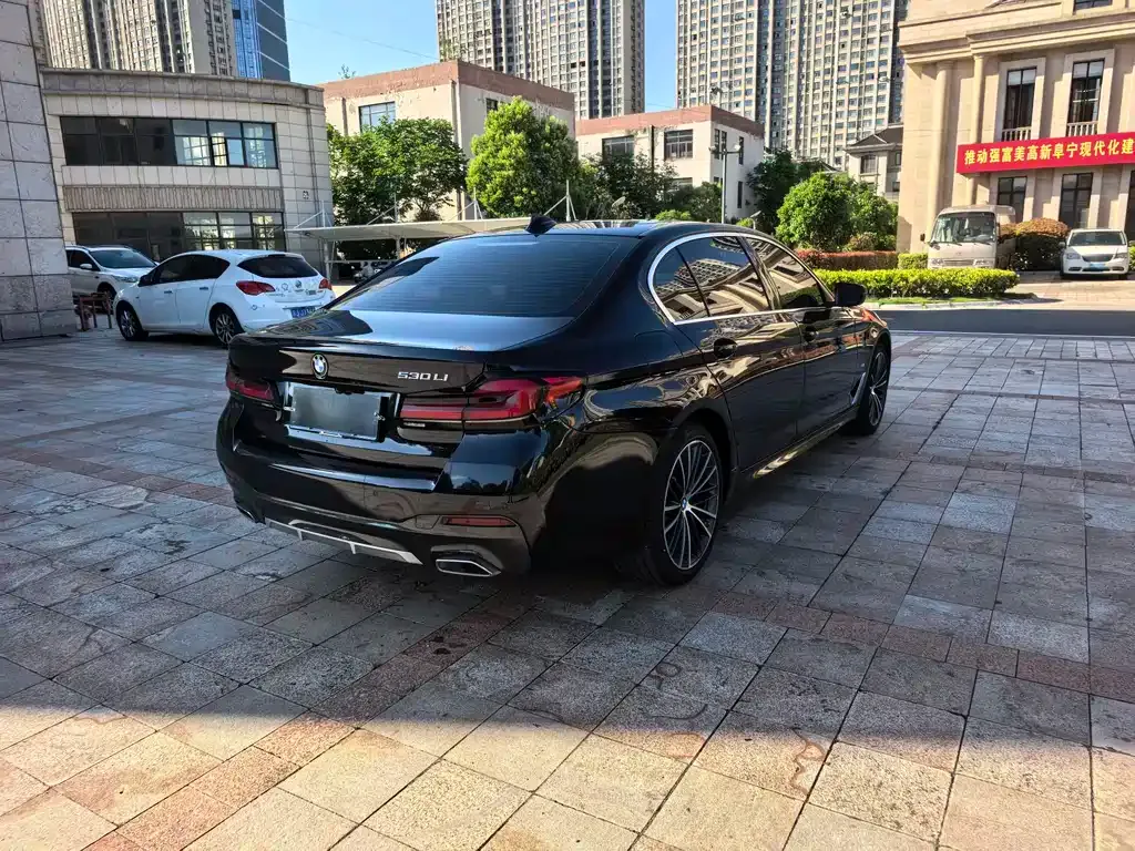 BMW 5 Series 2021 из CN, фото 7