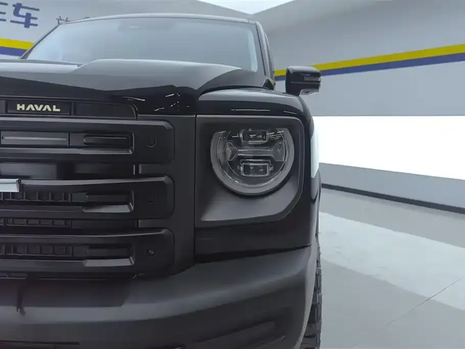 Haval Menglong New Energy — фото 4