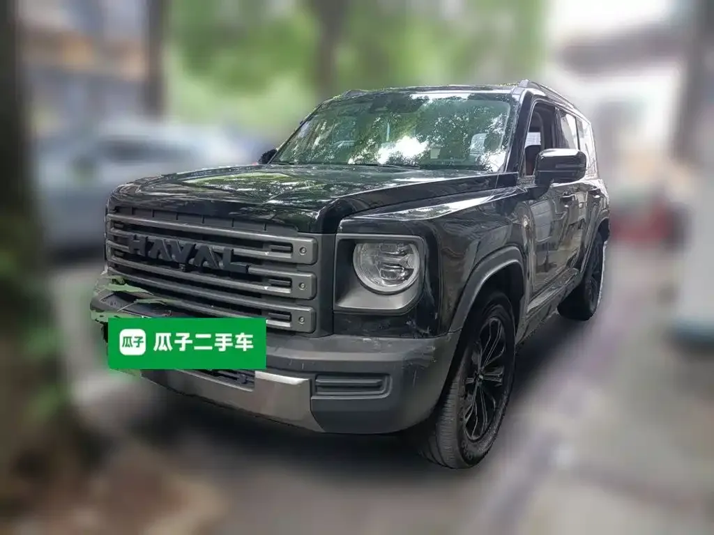 Haval Menglong New Energy 2024 из CN, фото 9
