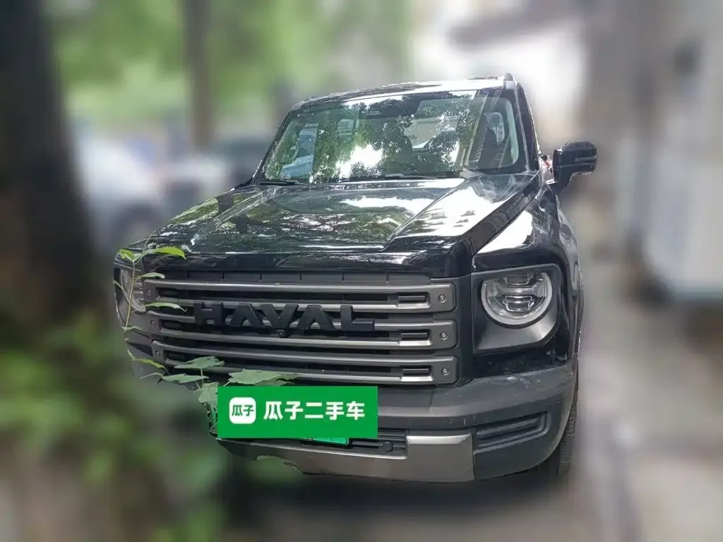 Haval Menglong New Energy 2024 из CN, фото 2