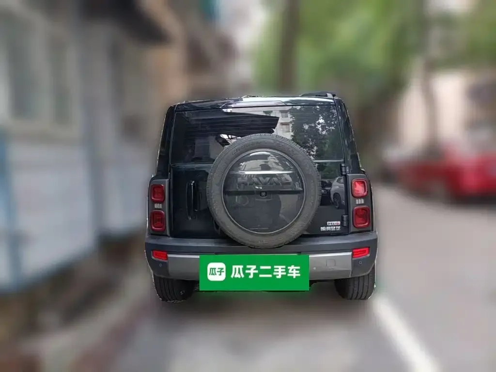 Haval Menglong New Energy 2024 из CN, фото 4