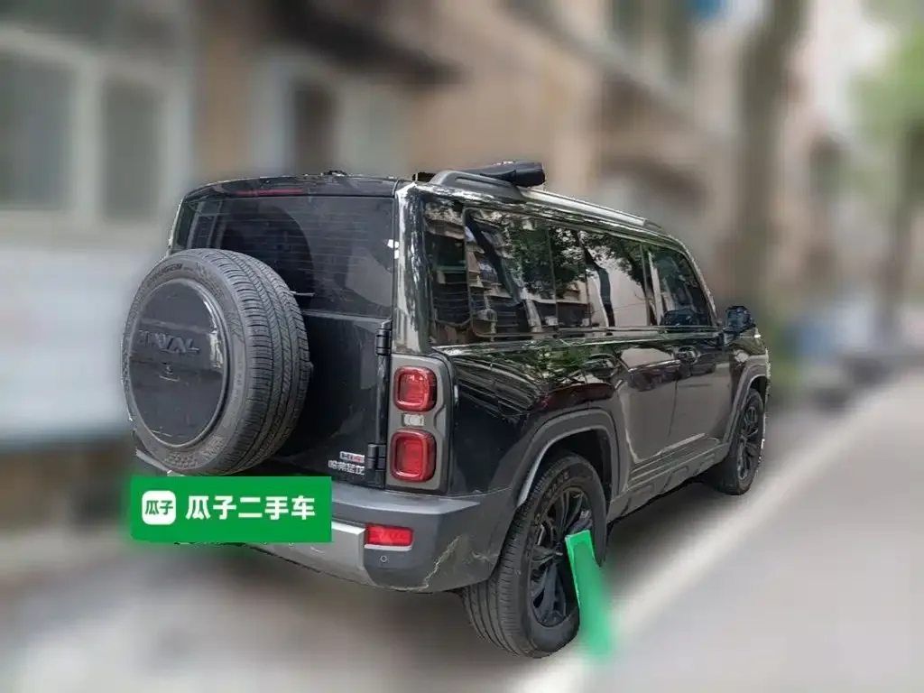Haval Menglong New Energy 2024 из CN, фото 5