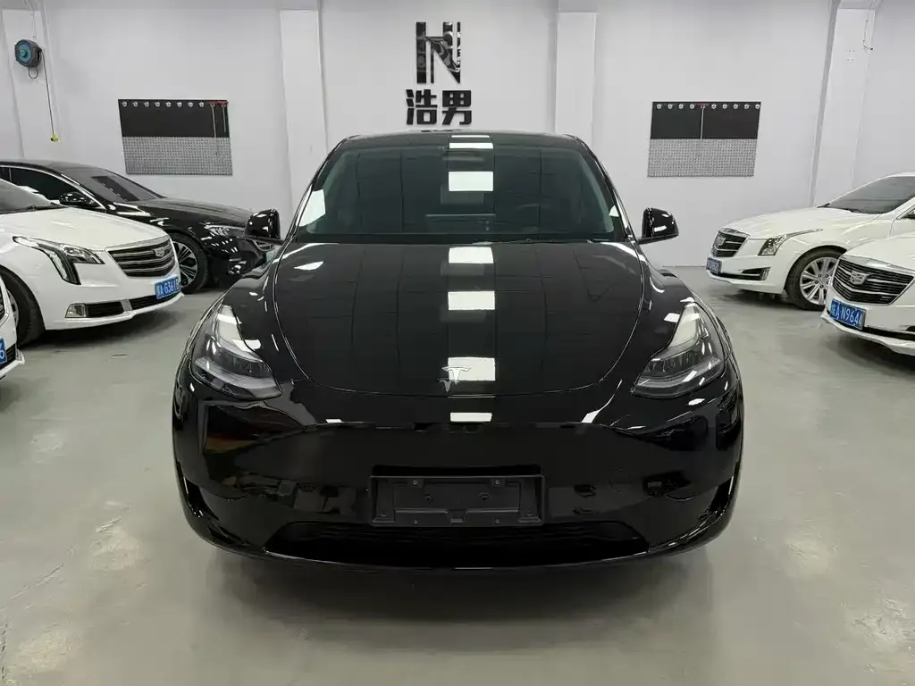Tesla Model Y — фото 1