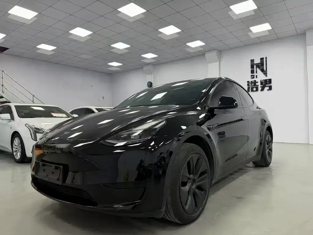 Tesla Model Y — фото 8