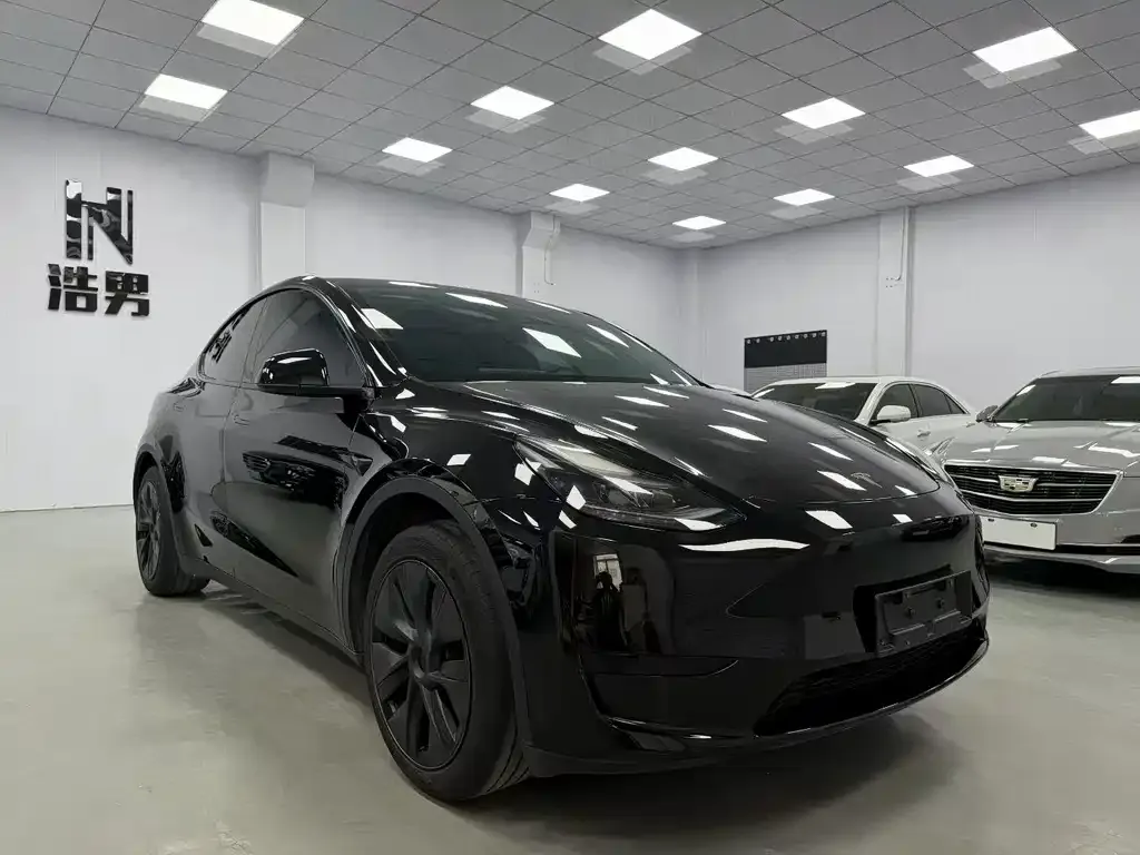Tesla Model Y — фото 5