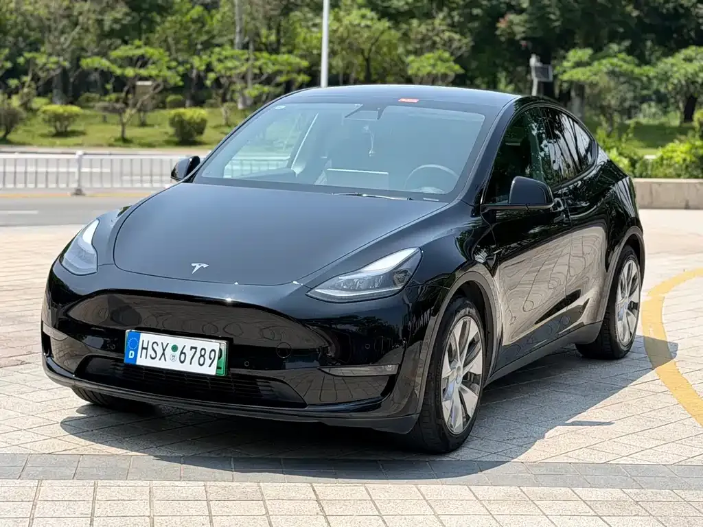 Tesla Model Y — фото 1