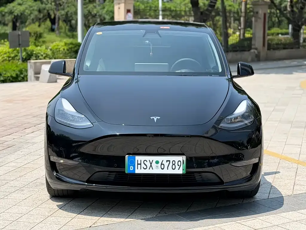 Tesla Model Y — фото 3